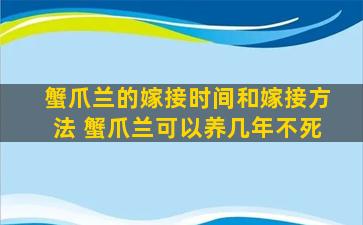 蟹爪兰的嫁接时间和嫁接方法 蟹爪兰可以养几年不死